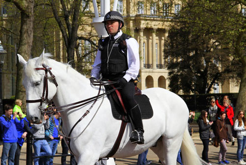 Lý do cảnh sát nhiều nước vẫn sử dụng ngựa thay phương tiện cơ giới