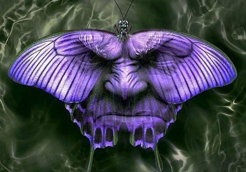 Trắc nghiệm: Chỉ số 'chống đối xã hội' của bạn là bao nhiêu?