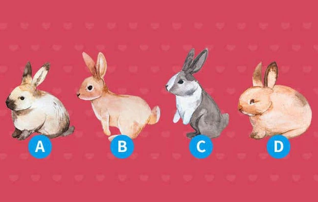 Bạn đã chọn được chú thỏ mình yêu thích nhất chưa? Nếu chọn xong rồi thì hãy xem ngay đáp án bên dưới nhé!