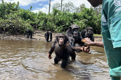 Hành trình xúc động về người đàn ông cứu tinh tinh bị bỏ rơi