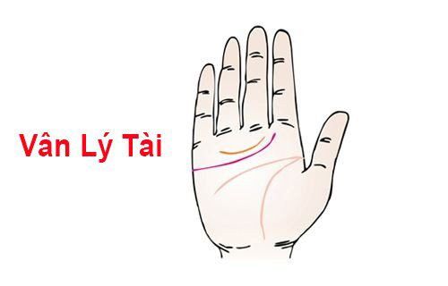 Đây là 6 bàn tay phú quý, ai sở hữu được thì cả đời vinh hoa phú quý, số 4 cực hiếm gặp