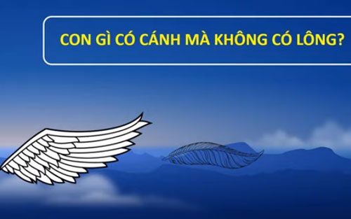 "Rối não" với câu đố mẹo đơn giản