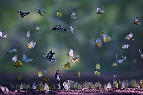 10 m&#x1EA9;u chuy&#x1EC7;n nh&#x1ECF; &#xFD; ngh&#x129;a &#x1EAF;t h&#x1EB3;n s&#x1EBD; gi&#xFA;p b&#x1EA1;n thay &#x111;&#x1ED5;i ki&#x1EBF;p nh&#xE2;n sinh