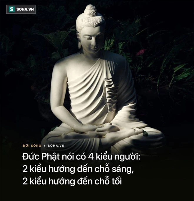 Đức Phật nói có 4 kiểu người: 2 kiểu hướng đến chỗ sáng, 2 kiểu hướng đến chỗ tối - Ảnh 2.