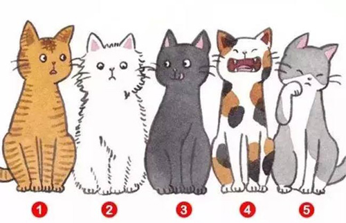 Trắc nghiệm: Bạn là người thế nào trong mắt người khác?