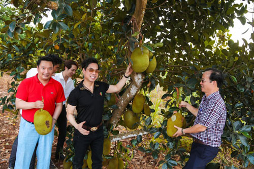 Ngọc Sơn làm nông dân chính hiệu trong khu vườn 2 hecta lần đầu tiết lộ