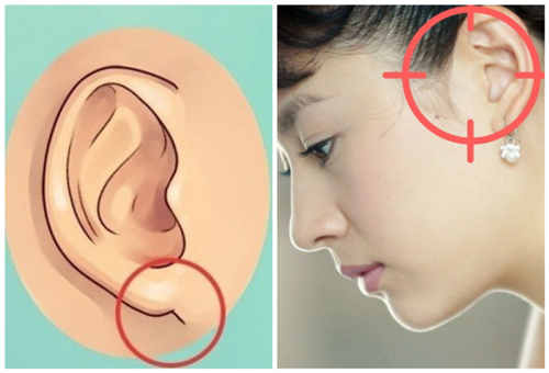 Phụ nữ có 3 tướng tai là "phúc tinh hưởng lộc", thiên mệnh rực sáng mang tài lộc cho cả gia đình