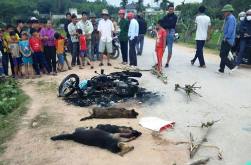 Nghệ An: Khởi tố vụ án hai thanh niên nghi trộm chó bị đánh thương vong