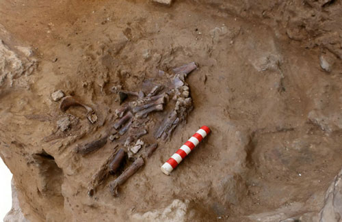 Bí ẩn mộ cổ hoa 70.000 năm chôn cất một loài người khác