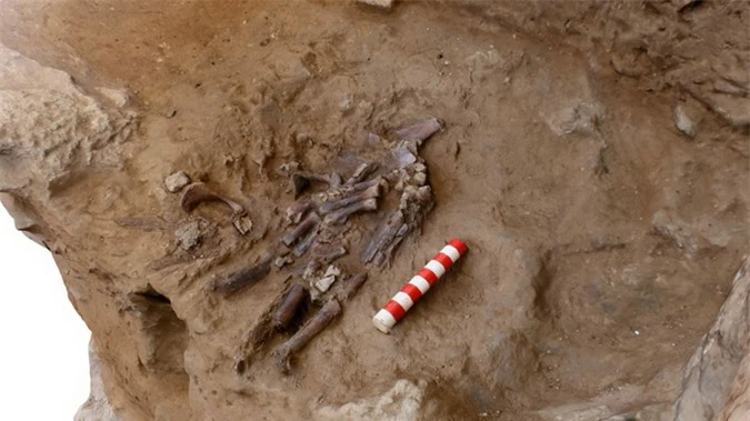 Bí ẩn mộ cổ hoa 70.000 năm chôn cất một loài người khác - Ảnh 1.