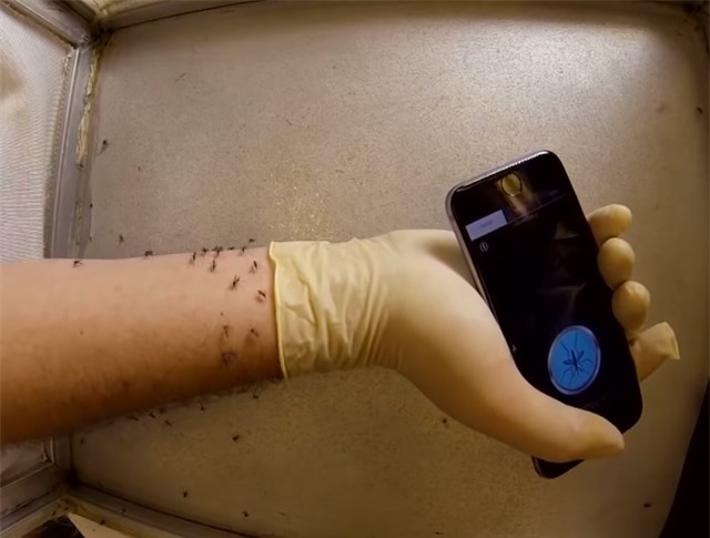 Thực hư ứng dụng thần thánh giúp cho đuổi muỗi bằng smartphone - Ảnh 2.