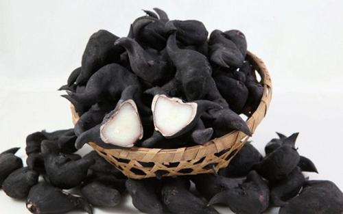 Vị thuốc giúp “trường sinh” vừa gần gũi vừa rẻ tiền mà người Việt vẫn bỏ qua