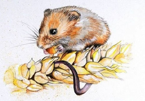 Đầu tháng 3/2020: 3 con giáp vận thế khởi sắc, thần tài phù hộ, may mắn, giàu có hơn người