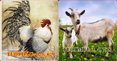 Cứ chọn đúng số đuôi điện thoại hợp tuổi, 12 con giáp sẽ 'hưởng no tài lộc', phất lên như diều gặp gió