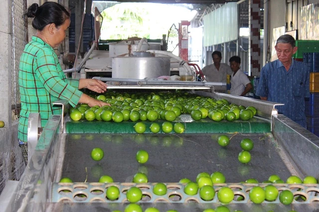 Kiểm soát tốt giúp nâng cao hiệu quả hoạt động HTX