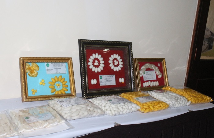 Bàn giải pháp phát triển chăn nuôi tằm bền vững