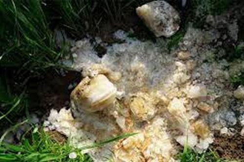 Cứ tưởng thiên thạch rơi xuống, ai ngờ sự thật phũ phàng