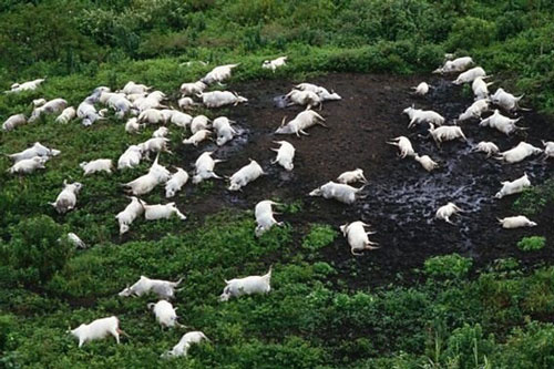 'Khiếp sợ' trước hồ Nyos chứa nhiều 'bí ẩn' mà một giờ giết chết 1.700 người