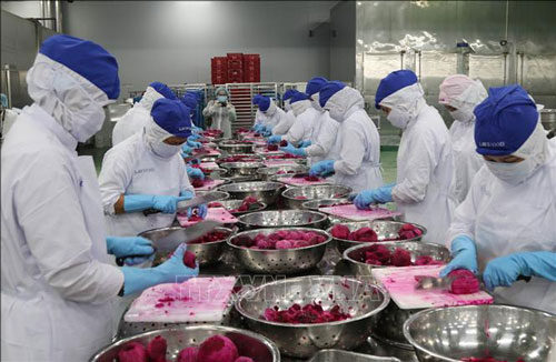 Các doanh nghiệp và nền kinh tế bị tác động nặng nề từ dịch COVID-19