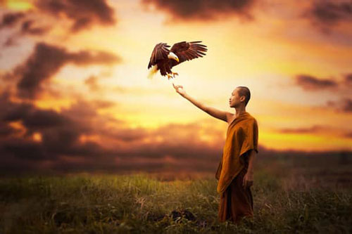 Học 1 điều này thôi có thể sinh trăm phúc, nghênh vạn lành