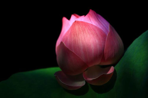 Lựa chọn khi đứng giữa thiện và ác, chính và tà sẽ nói lên phúc báo của bạn