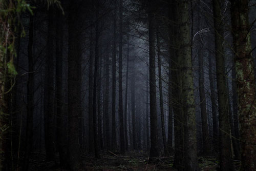 Thuyết 'Khu rừng đen tối' và tại sao chúng ta vẫn chưa tìm thấy người ngoài hành tinh