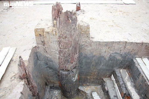 Phát hiện bãi cọc đời Trần gần nghìn năm tuổi ở Hải Phòng: GS Lê Văn Lan tiết lộ bất ngờ