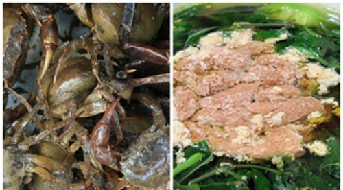 Sai lầm trong ăn cua đồng khiến cho cả gia đình ngộ độc 'miệng nôn trôn tháo' nhập viện tức thì