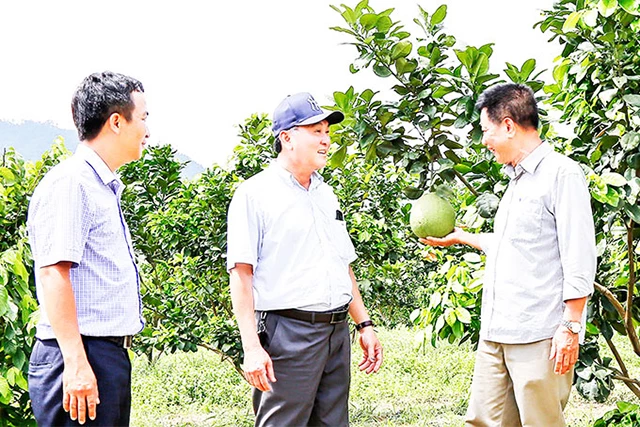 Sản xuất an toàn theo tiêu chuẩn VietGAP là nền tảng thành công