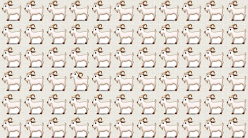 "Hoa mắt" vẫn không thể tìm ra đáp án đúng