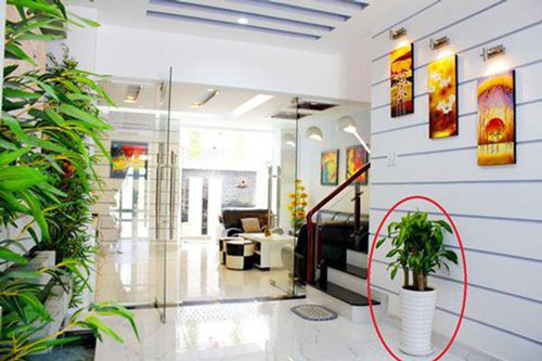 Âm thầm làm việc này có thể đánh thức Thần Tài, giúp gia chủ dễ đổi vận nhanh chóng