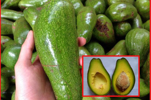 Mua bơ đừng tham quả to mà "phí tiền", đây là cách chọn đúng quả bơ sáp dẻo ngon- béo ngậy