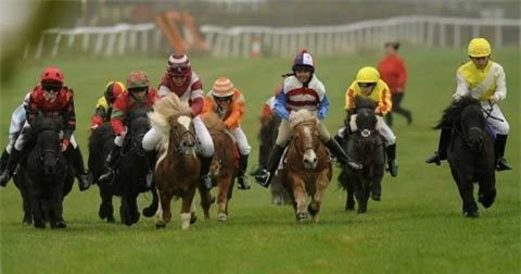 Những cuộc đua ngựa kỳ lạ trên thế giới