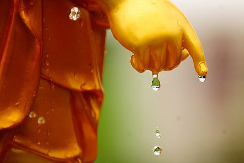 Mỗi người chỉ sống 1 lần trong đời, bạn đã đối xử tốt với mình hay chưa?