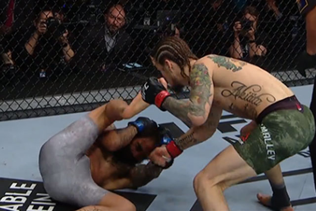 Ra đòn bất cẩn, võ sĩ Mexico bị đối thủ đấm cắm đầu xuống sàn