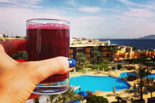 Đồ uống nổi tiếng Ai Cập hóa ra được làm từ loại hoa mọc đầy vỉa hè Việt Nam