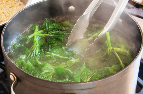 Luộc rau kiểu này vừa mất chất dinh dưỡng lại rước bệnh vào người