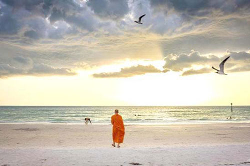 Sống trên đời: Vì xem nhẹ nên vui vẻ, vì xem nhạt nên hạnh phúc