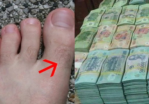 4 vị trí lông càng mọc nhiều càng phát tài, phú quý ào ào tìm đến, ôm hết lộc thiên hạ về nhà