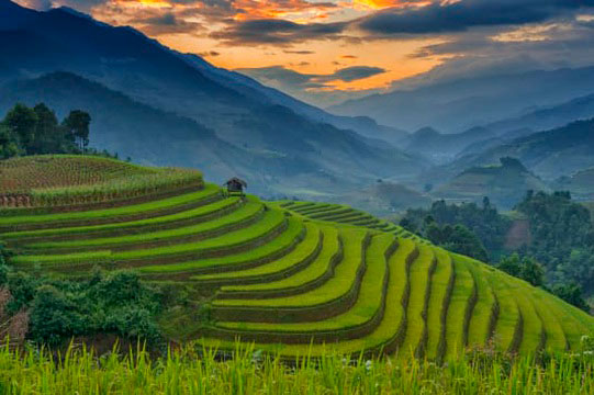 Truyền hình Mỹ bình chọn Mù Cang Chải là điểm đến hấp dẫn 2020