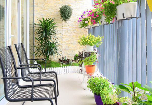 5 loại cây trồng ban công để "mời gọi" thần Tài, cả nhà tha hồ hưởng lộc quanh năm