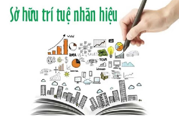 Viện Khoa học sở hữu trí tuệ, Bộ Khoa học và Công nghệ, hỗ trợ về sở hữu trí tuệ cho doanh nghiệp