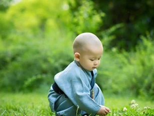 Nhân sinh rốt cuộc cũng chỉ nằm trong 8 đạo lý này, ai thông suốt ắt sẽ được 1 đời hạnh phúc