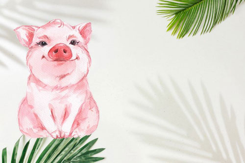 Ghen tỵ với 3 con giáp sinh ra đã có số giàu sang, cuộc sống sung túc, tài lộc bám chặt cả đời