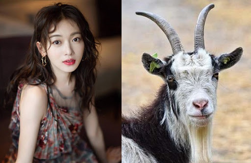 Thần Tài "mỉm cười" chấm sổ: 3 con giáp được tài lộc "bám chặt", tài vận xung thiên vào cuối tháng 3 này