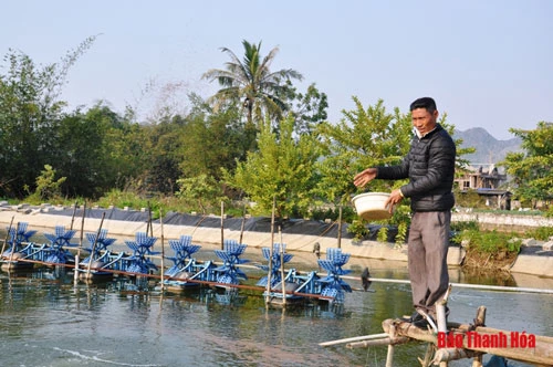 Anh Mai Văn Huy bên những giàn dưa vàng trĩu quả.