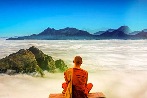 Sống trên đời, chỉ cần bản thân cố gắng hết sức, việc còn lại cứ để trời xanh an bài