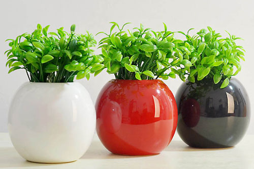 Cấm kỵ cần nhớ khi bày bình hoa trong phòng khách