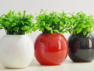 Cấm kỵ cần nhớ khi bày bình hoa trong phòng khách