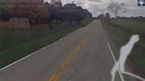 Sinh vật "lạ" giống người ngoài hành tinh băng qua đường